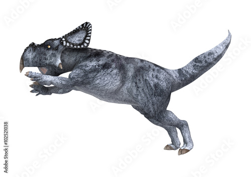 Dinosaur Protoceratops on White