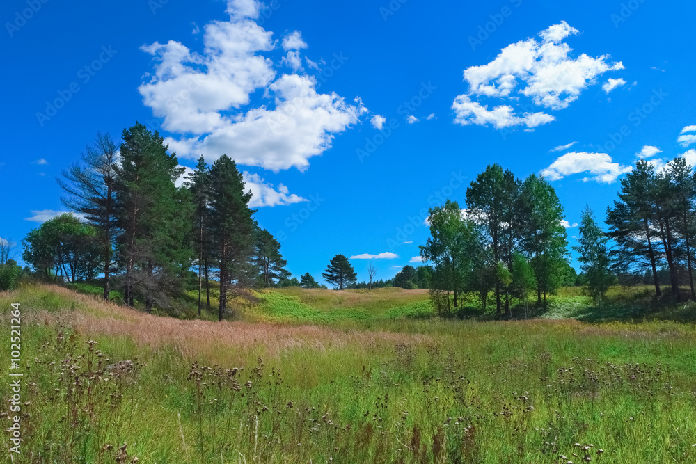 Beautiful summer landscape with forest, grass, sky and clouds Beautiful summer landscape with forest, grass, sky and clouds