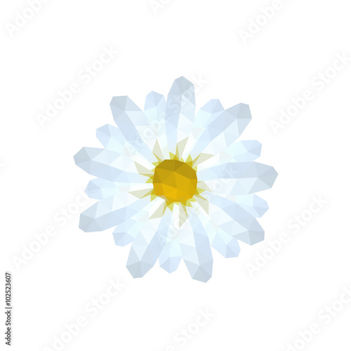 Illustration of origami white daisy