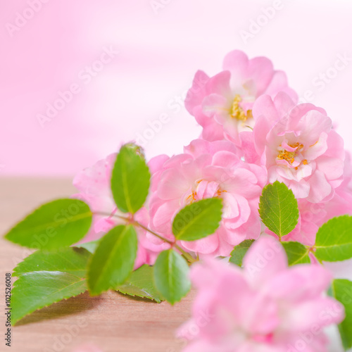beautiful spring concept of bouquet rose flowers on wooden and p