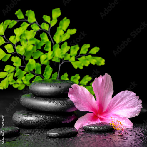 beautiful spa concept of pink hibiscus flower, fern branch and s