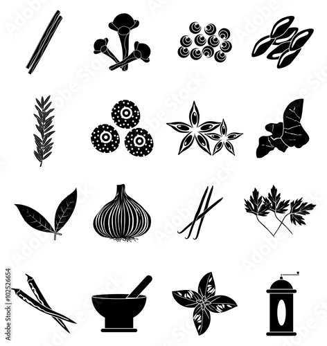 Spices icons set