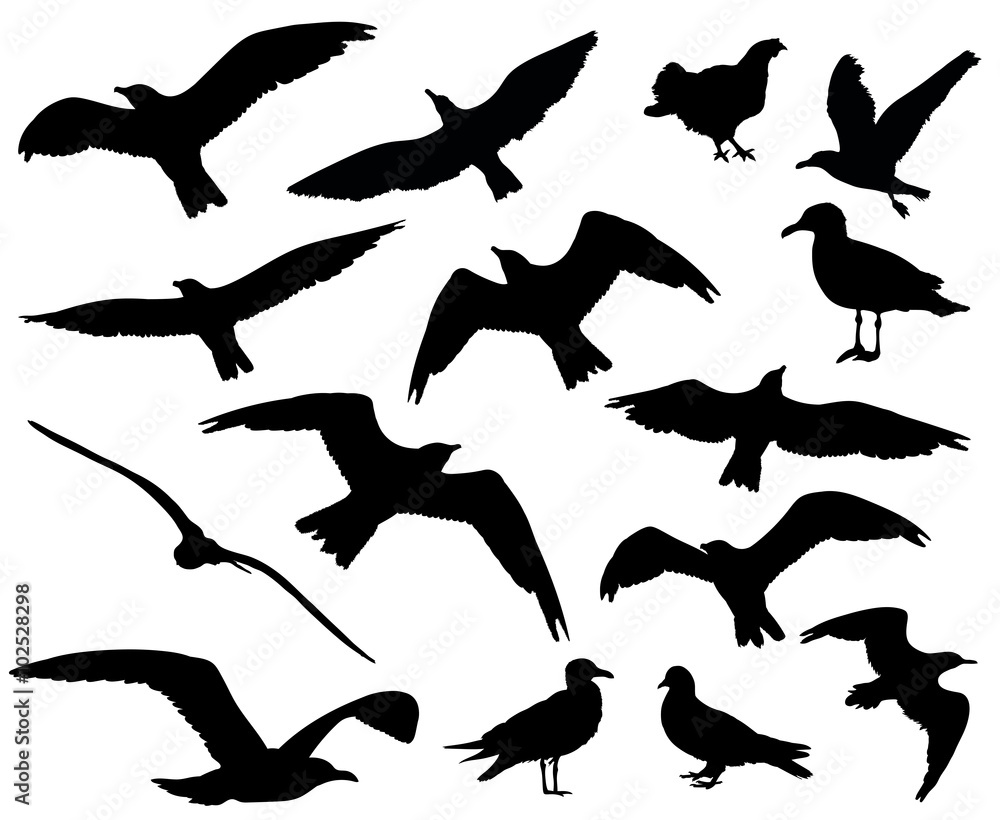 Set of birds silhouettes 15 in 1 on white background. Vector illustration Set of birds silhouettes 15 in 1 on white background. Vector illustration