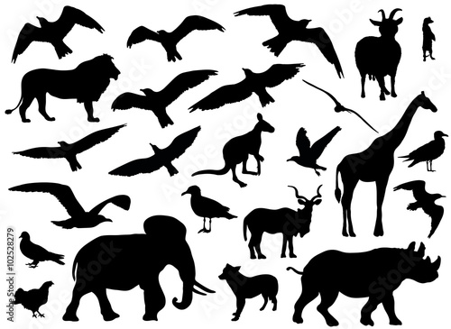 Set of animals silhouettes on white background. Vector illustration