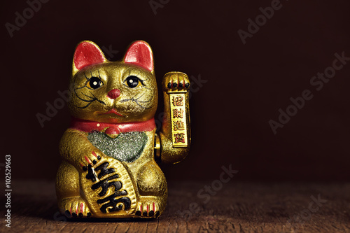 chinese lucky cat photo