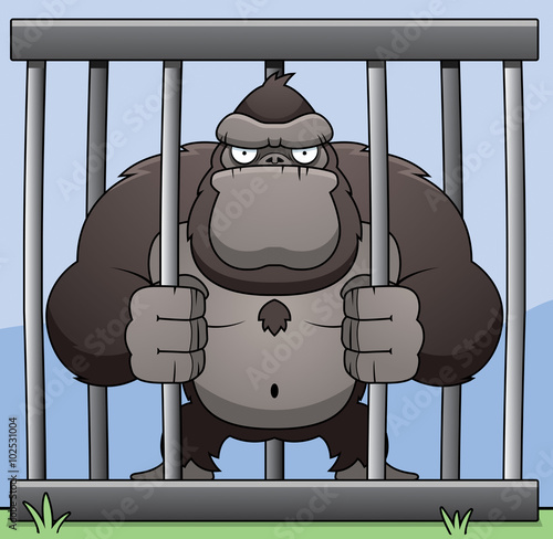 Gorilla Cage