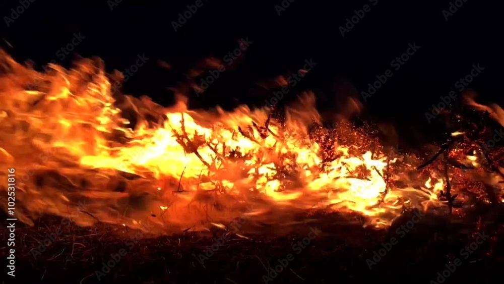 Fire flames on a black background Fire flames on a black background