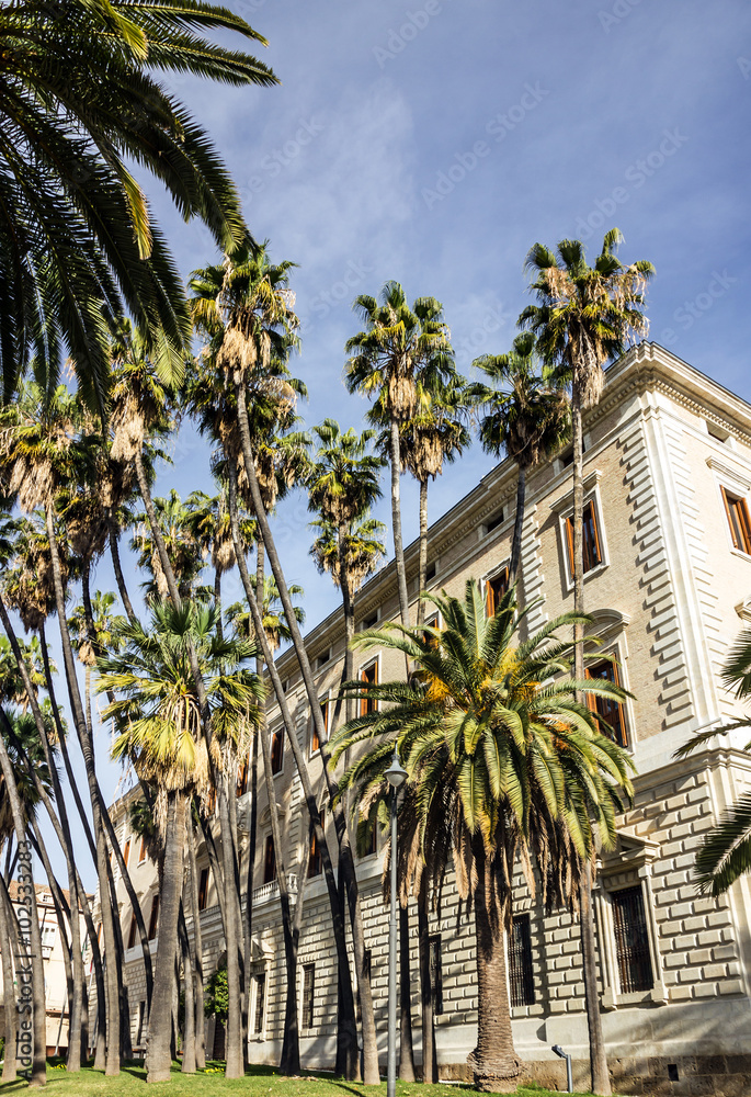 Malaga Spain, palms, cityscape