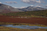 Nomad camp of reindeer herders and the car. Autumn in the mountains. Polar Urals. Russia.