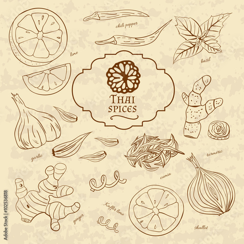 Set of spices cuisines of Thailand on old paper in vintage style.  illustration