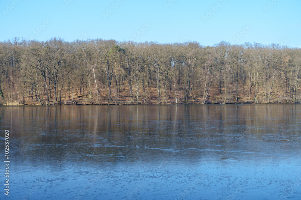 Obraz premium Frozen Winter Lake