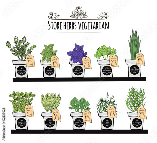 Set balcony herbs and spices on the counter of the store. Flower shelf with herbs and spices with prices. illustration