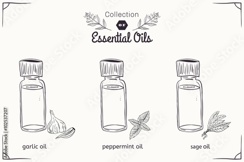 A set of essential oils in black and white style: mint, garlic, sage.