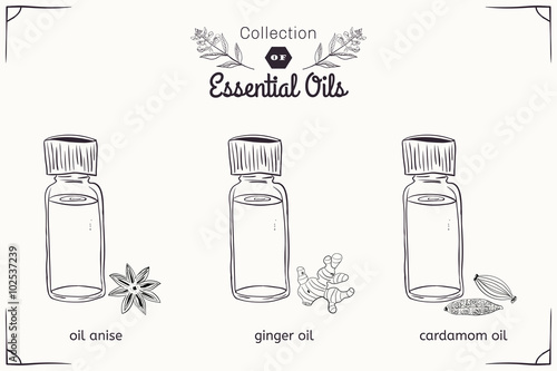 A set of essential oils in black and white style: anise, cardamom, ginger.