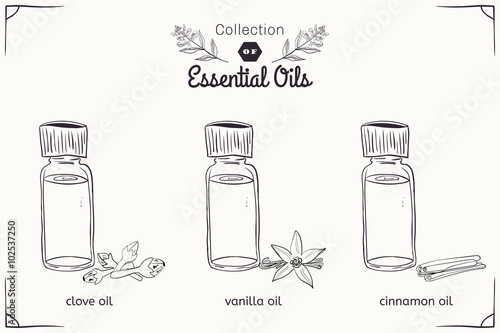 A set of essential oils in black and white style: cloves, vanilla, cinnamon.
