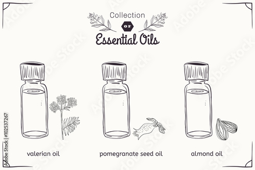 A set of essential oils in black and white style: Valerian, almonds, pomegranate seeds.