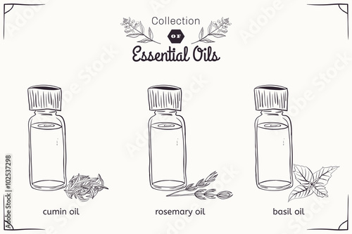 A set of essential oils in black and white style cumin, rosemary, Basil.