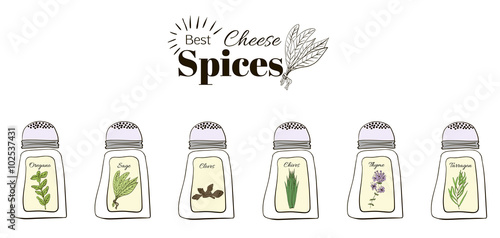 Best seasoning for cheese. A collection of stand-alone web design elements.