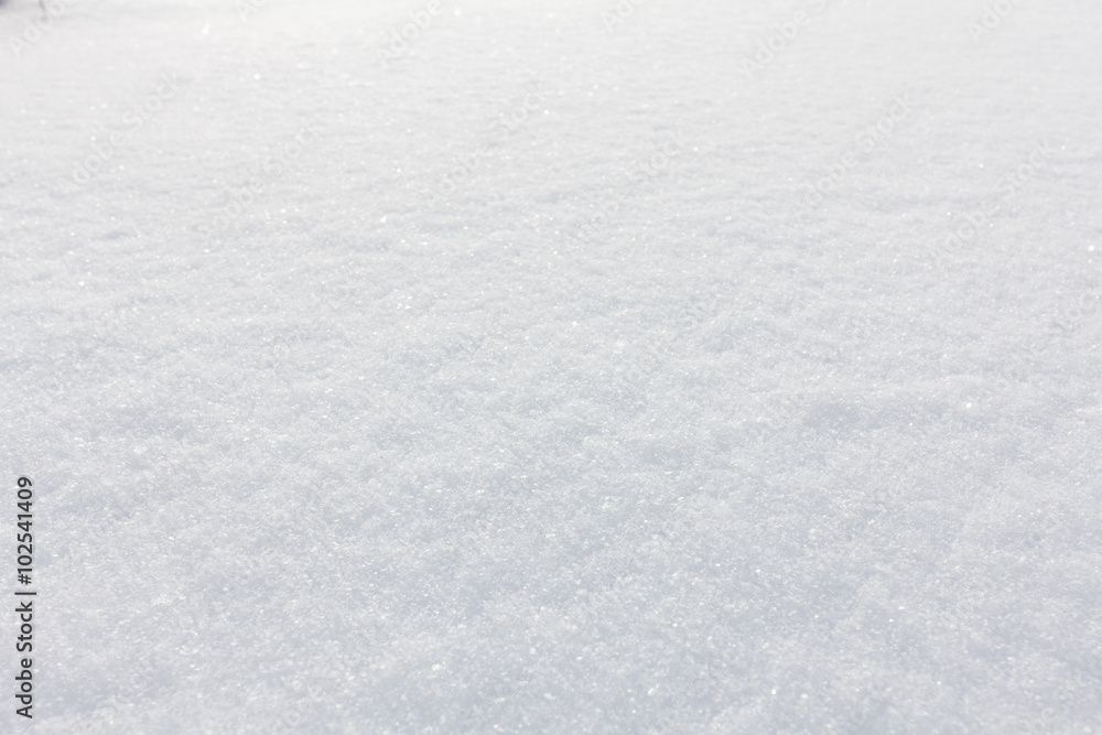background of fresh snow background of fresh snow
