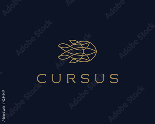 Fish line vector symbol. Abstract nautical logotype. Universal premium sea marine travel ship logo icon sign.