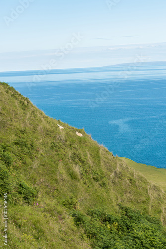 Rigg Viewpoint