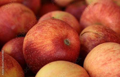 Fresh red and yellow apples