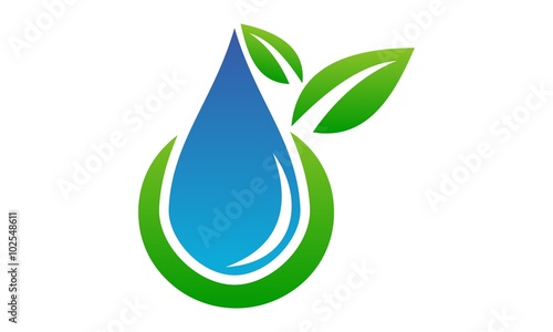 Leaf and Water 