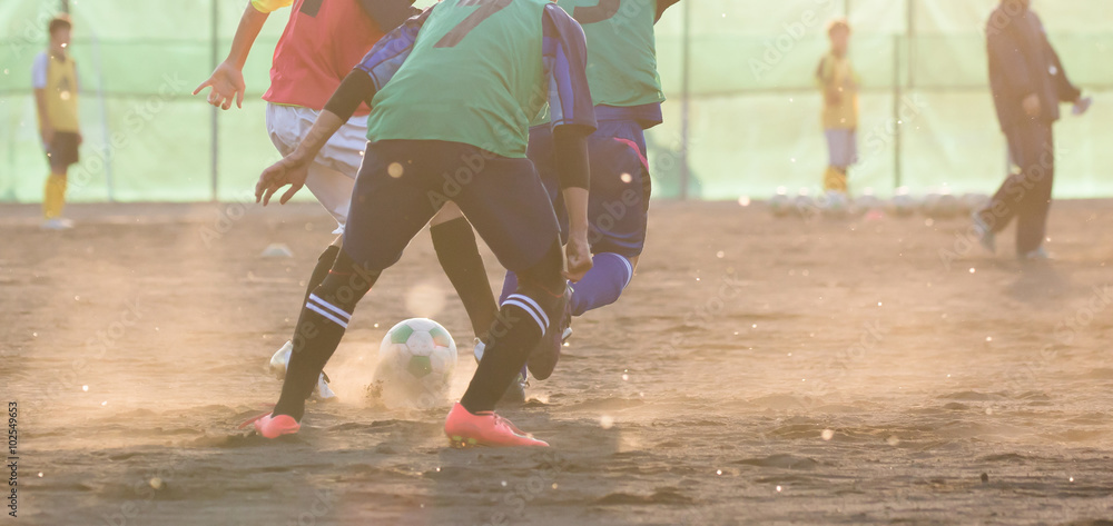 Fototapeta premium サッカー フットボール