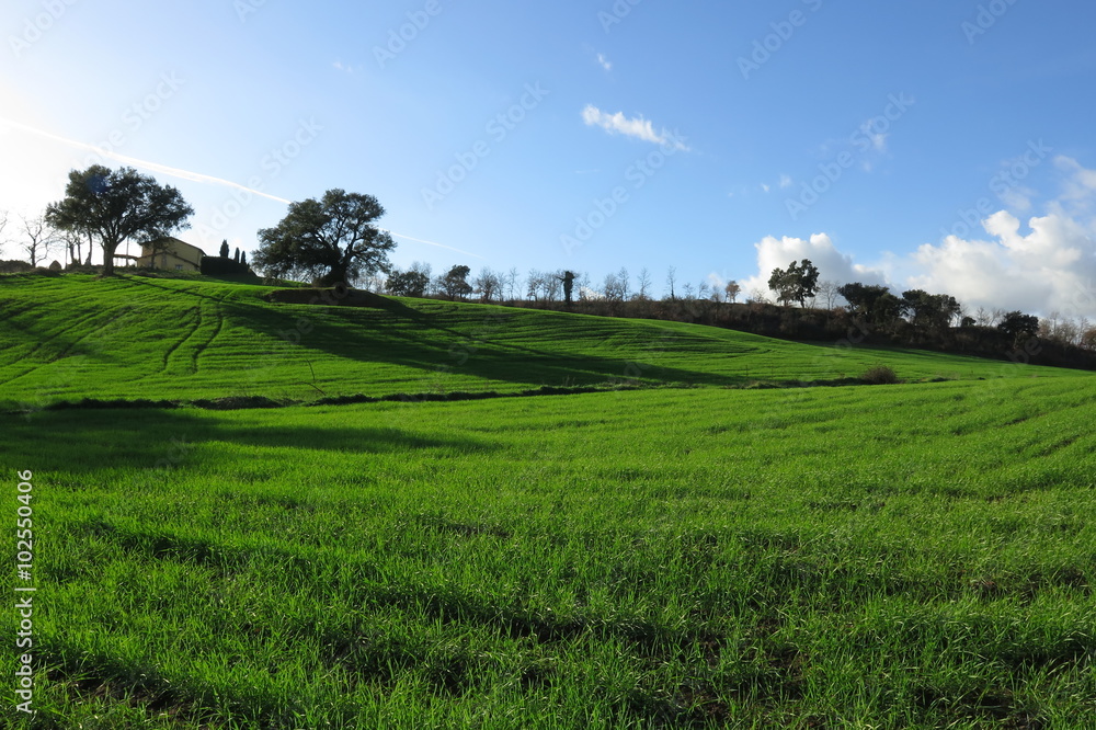 Obraz premium campagna