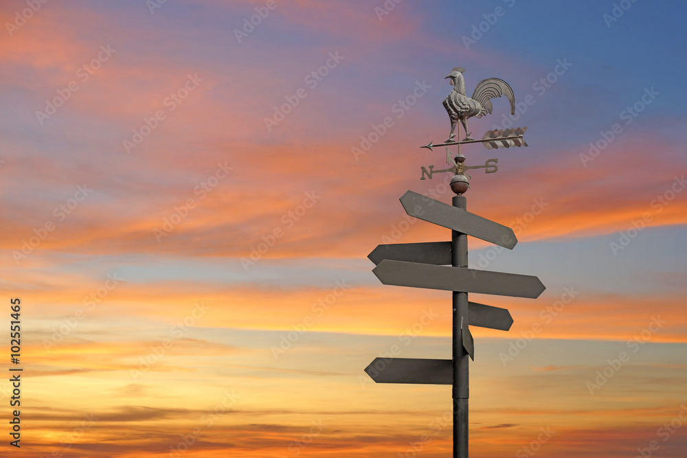 direction sign with blank spaces for text on beautiful sky back direction sign with blank spaces for text on beautiful sky back