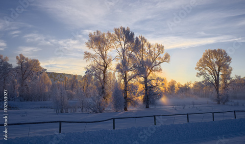 Swan Valley in Winter photo