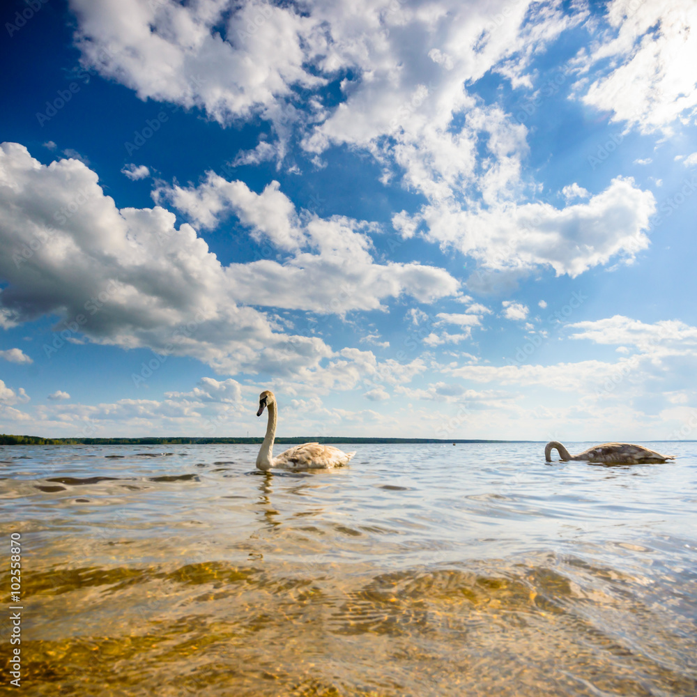 Fototapeta premium blue sky