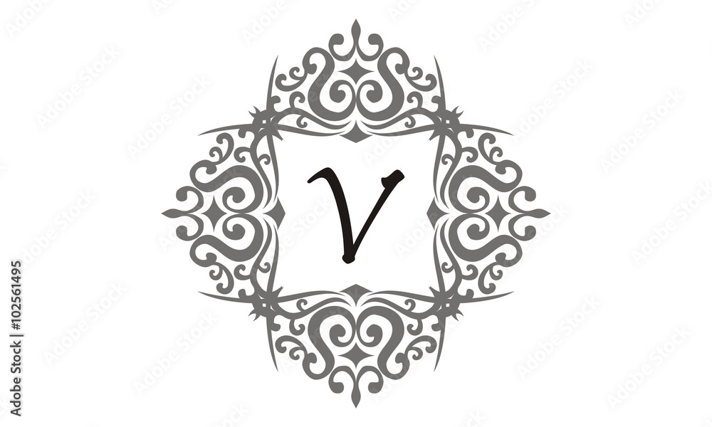 Modern Logo Letter V