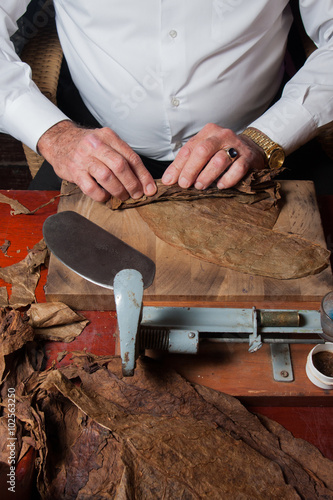 Foto old man Torcedor rolling hand made cigars parejos using traditional technology