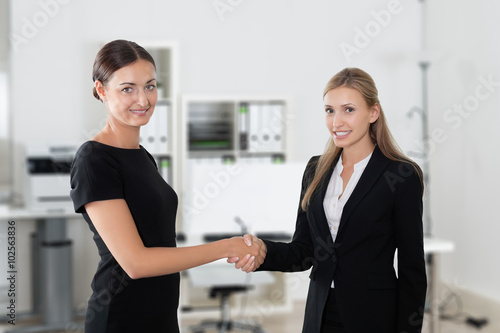 Businesswomen Shaking Hands In Office