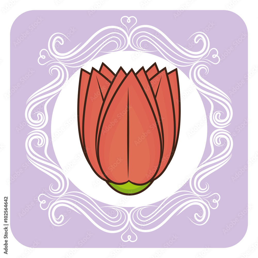 spring flowers design spring flowers design