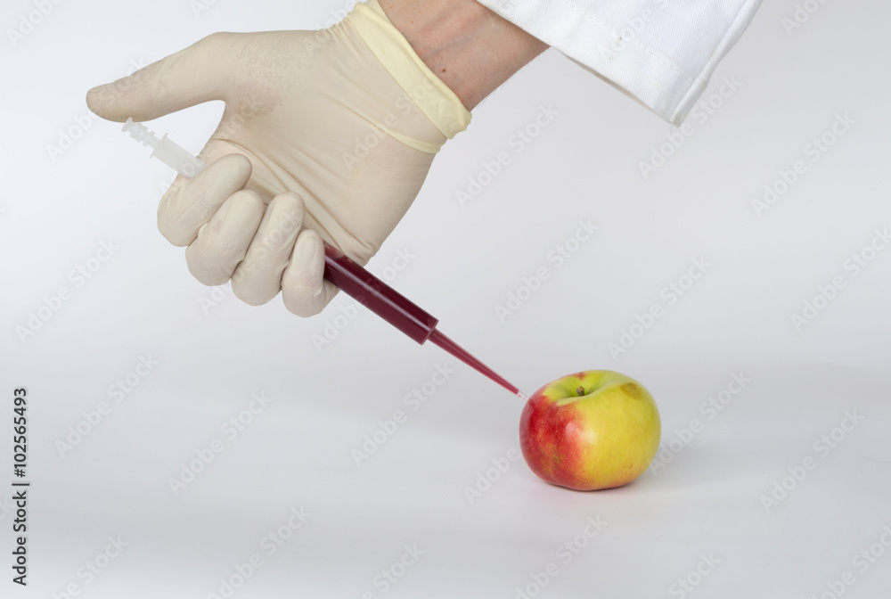 GMO apple GMO apple