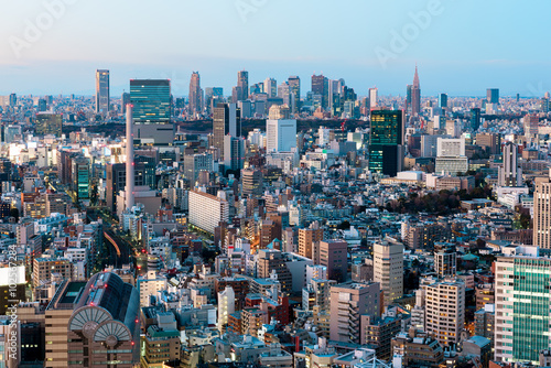 Tokyo Skyline at twilight. High rise buildings of Shinjuku Ward are visible in the distance.