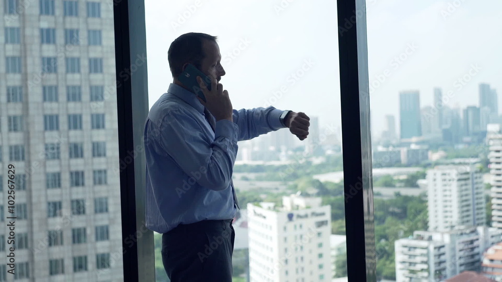 Young businessman talking on cellphone standing by window at home
Young businessman talking on cellphone standing by window at home