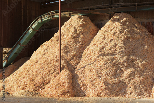 Piles of sawdust