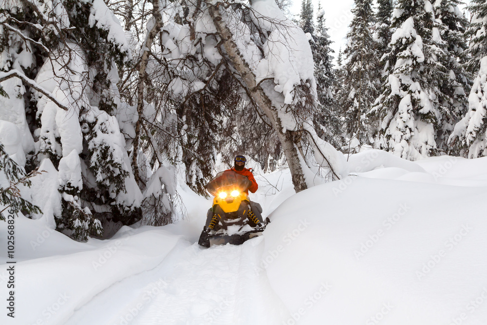 Naklejka premium Athlete on a snowmobile.