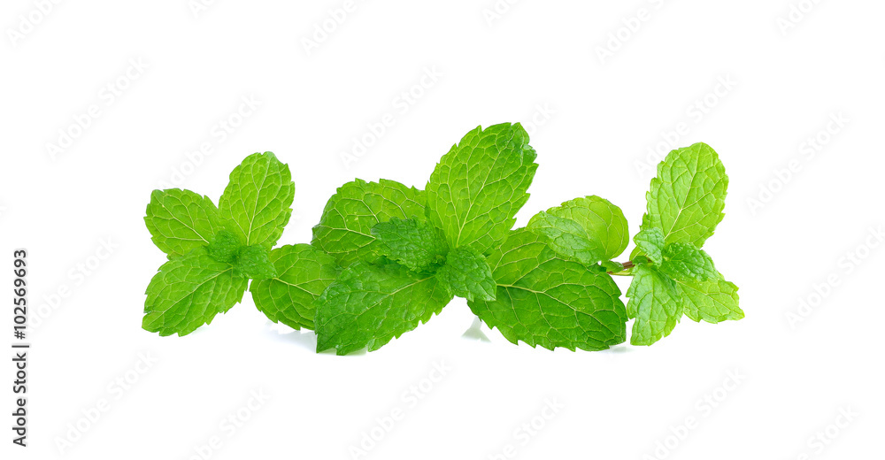 Pepper mint isolated on the white background Pepper mint isolated on the white background