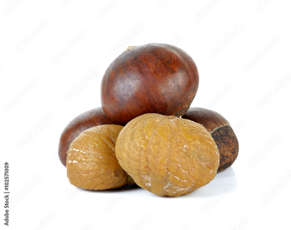 Obraz premium Chestnut isolated on the white background
