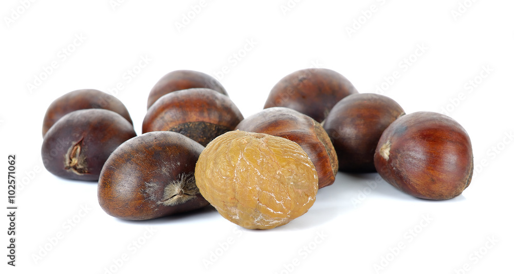 Chestnut isolated on the white background Chestnut isolated on the white background