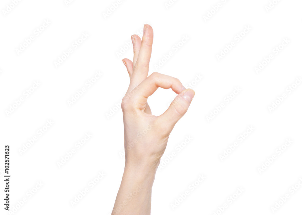 Naklejka premium hand
