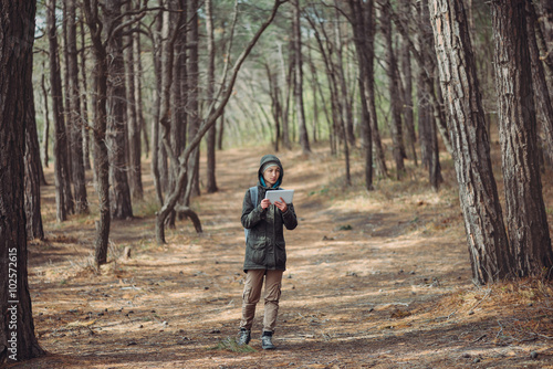 Wallpaper Mural Connection in the forest Torontodigital.ca