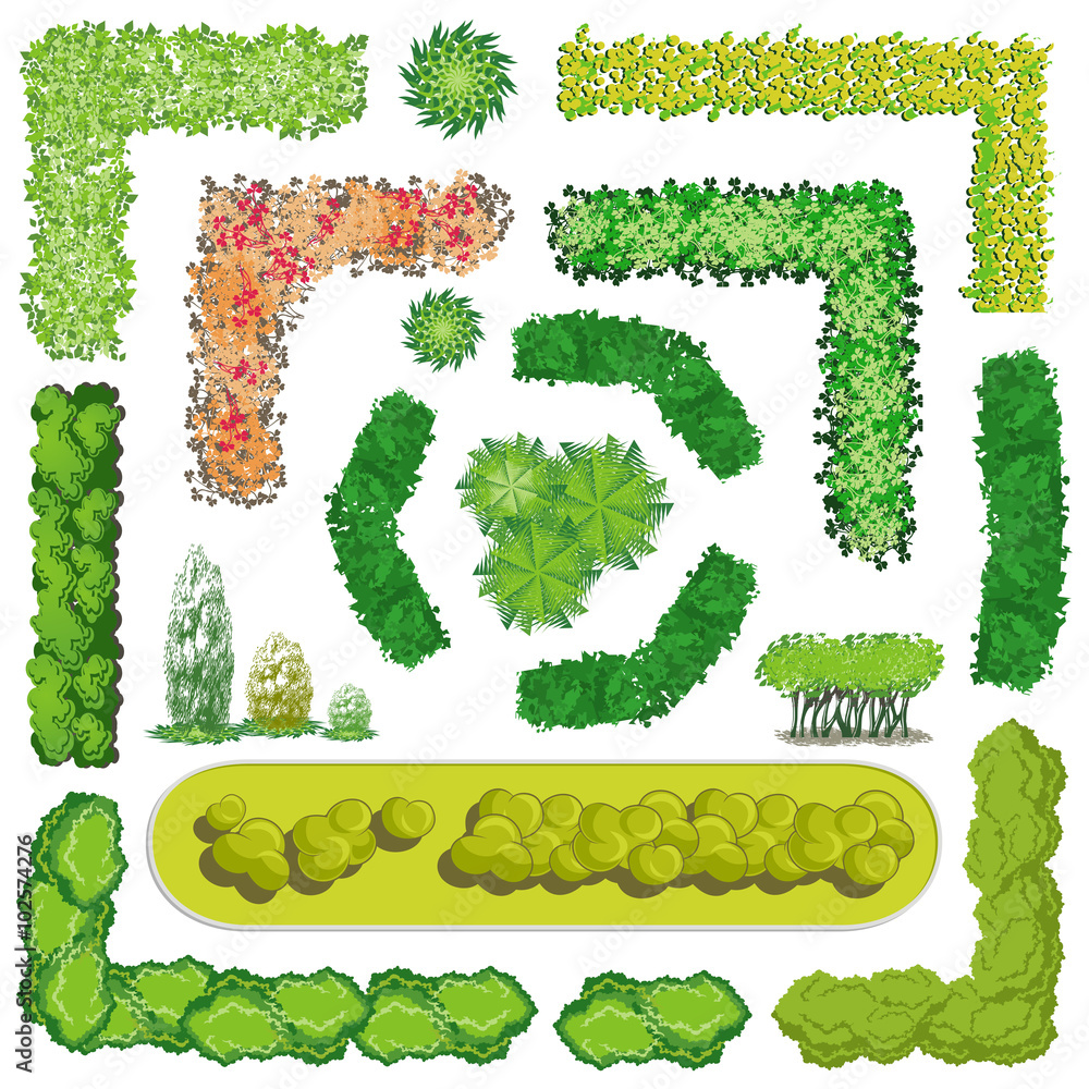 Top View Bush Line Trees and bush item top view for landscape design, vector illust Stock ...