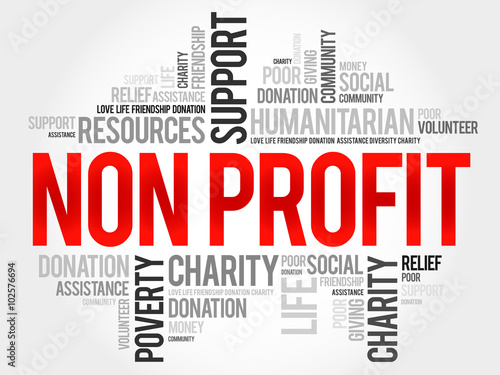 Non Profit word cloud concept