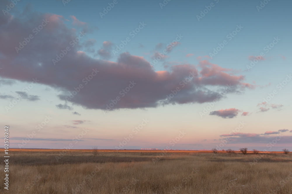 Moving clouds over the golden grasses studded snow in the steppe in the winter. Moving clouds over the golden grasses studded snow in the steppe in the winter.