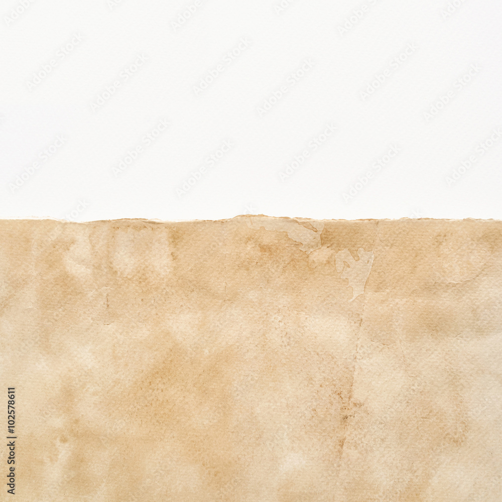 Grunge vintage paper texture and white paper background.